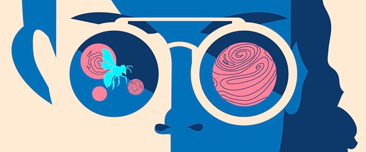 A woman whose face is half white and blue, looks out at the viewer. She is wearing glasses with planets and a small wasp like insect reflected in them.